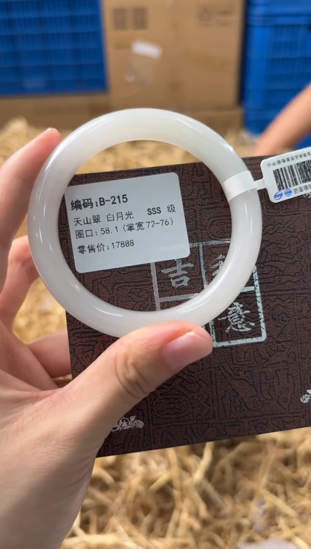 未镶嵌手镯石英质玉B-215