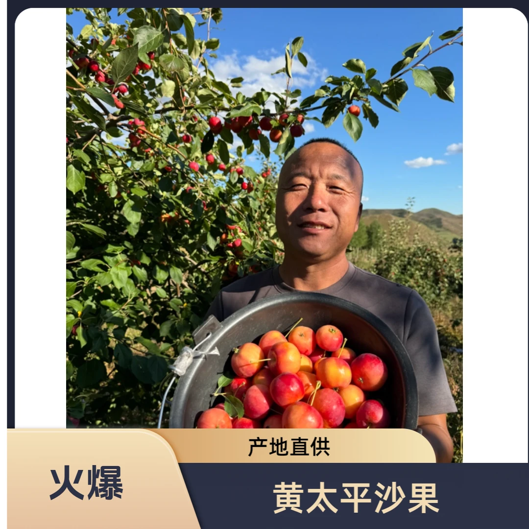 【产地直供】正宗黄太平沙果东北特产现摘现发酸甜脆口感