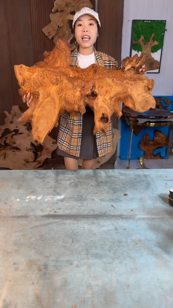 香杉木杉木瘤随型【原料】027