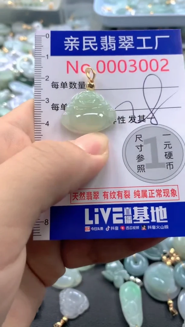 颈饰未镶嵌翡翠3002