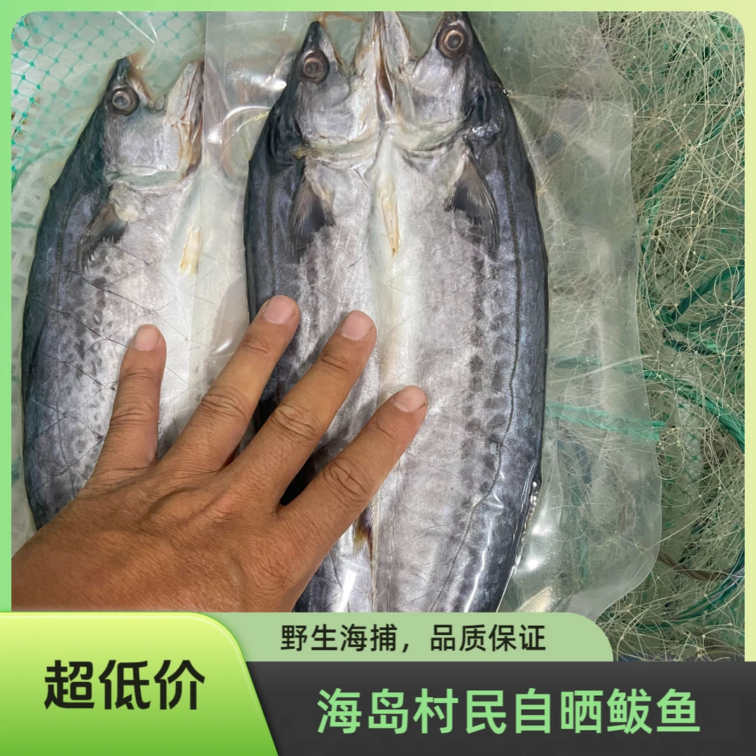 大连獐子岛村民自晒燕鲅鱼（一卤盐）1.8-2.2斤三条不腥不咸