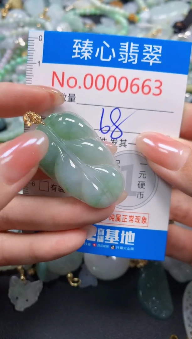 颈饰未镶嵌翡翠662