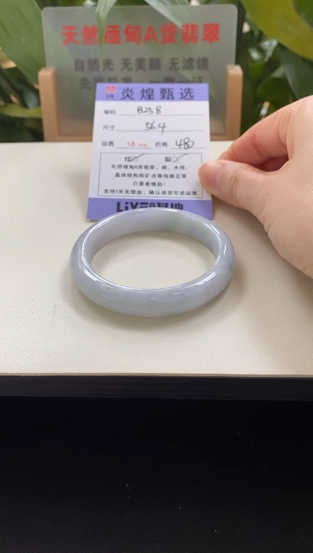 未镶嵌手镯翡翠圈口56.6编码b258