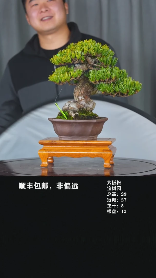 【闪购商品】-大阪松-T6