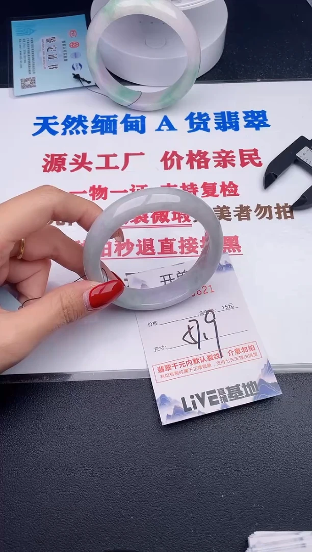 未镶嵌手镯翡翠2