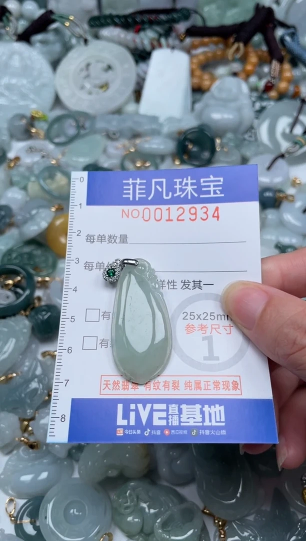 颈饰未镶嵌翡翠12934