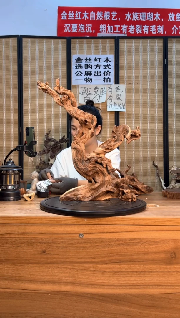 【闪购商品】木云南红河金丝红879