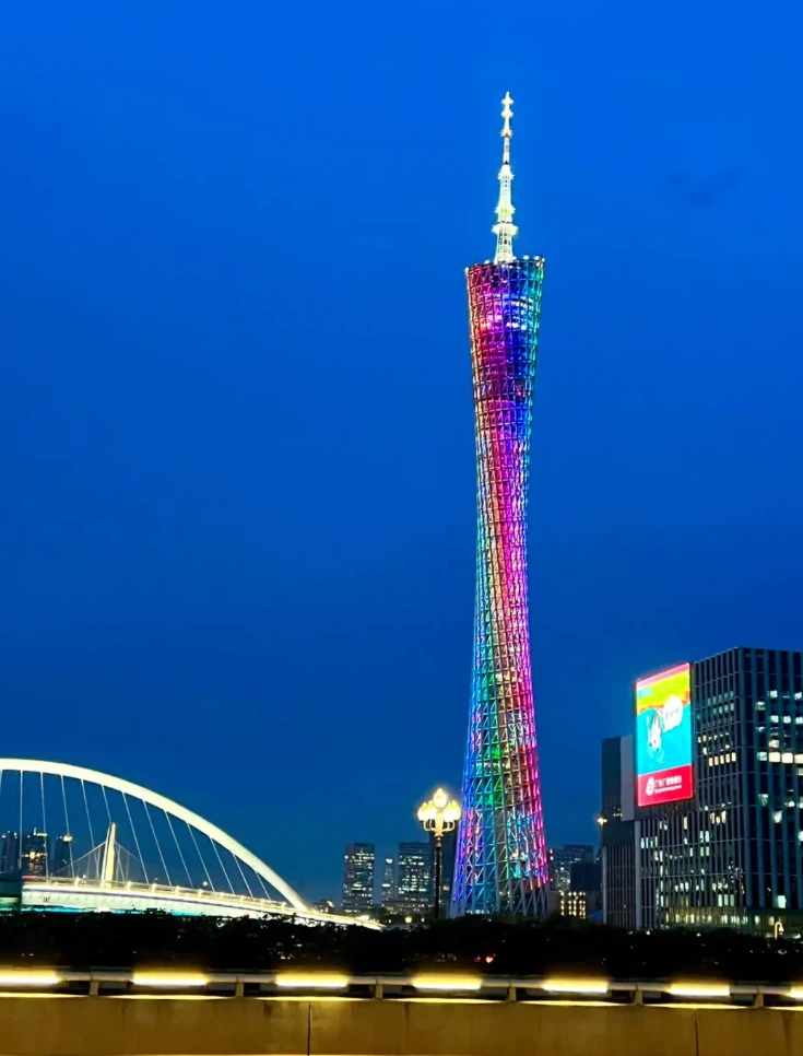 时尚轻奢休闲复古百搭女士围巾黑棕色hh