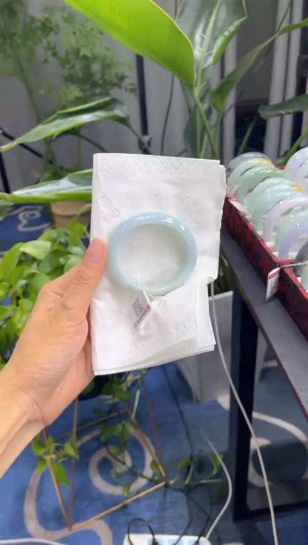 未镶嵌手镯翡翠4849