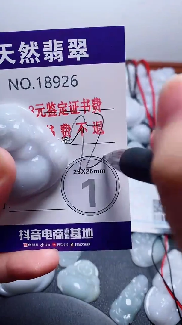 翡翠未镶嵌颈饰926