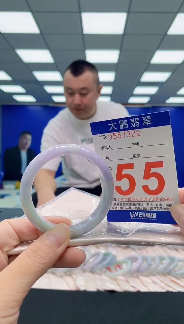 未镶嵌手镯翡翠AAAAAAAAA