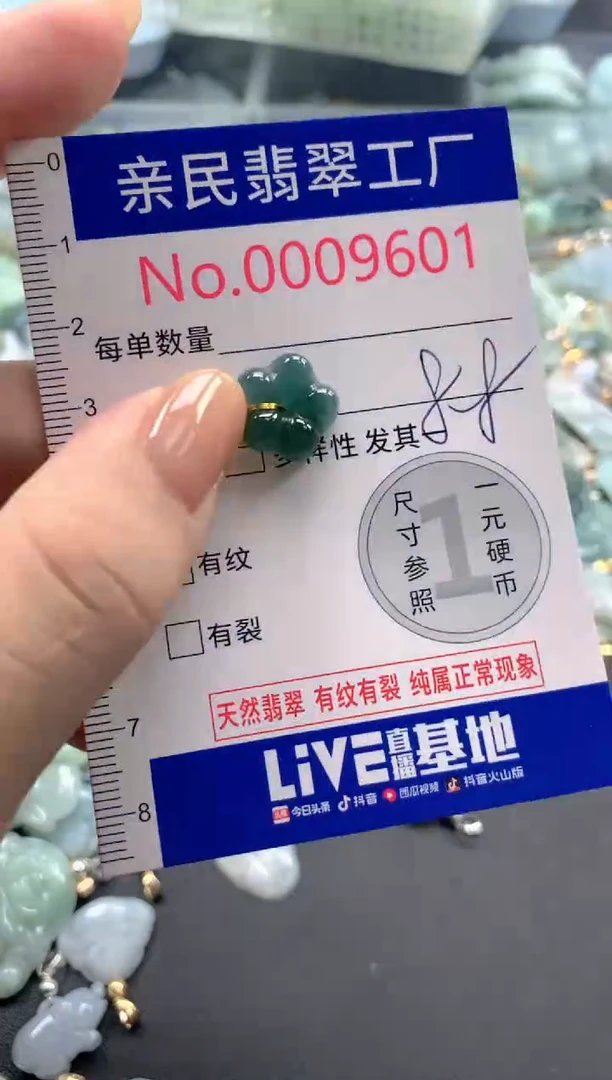 颈饰未镶嵌翡翠9601