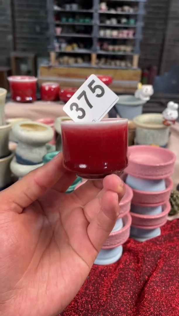 【闪购商品】摆件福利375知木小芳花盆编号