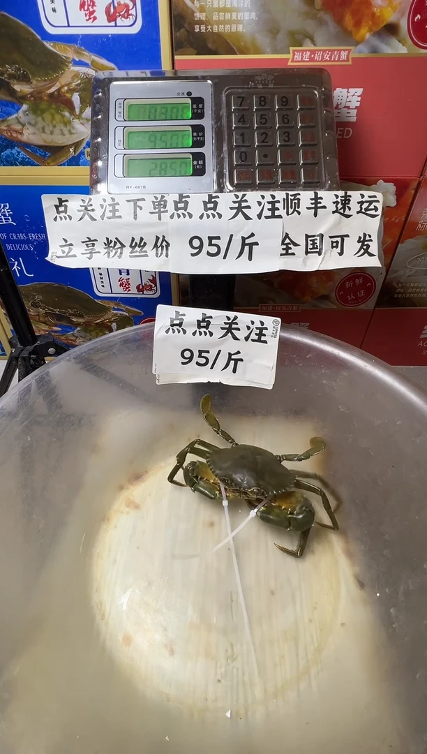 中国大陆福建漳州青蟹