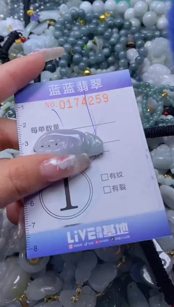 【闪购商品】翡翠颈饰未镶嵌闪购0174259