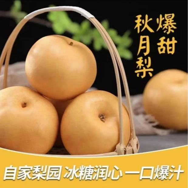【山东维姐专属】正宗烟台产地直发秋月梨新鲜脆甜多汁冰糖薄皮梨