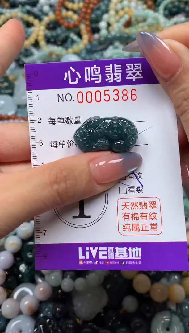 颈饰未镶嵌翡翠闪购005386
