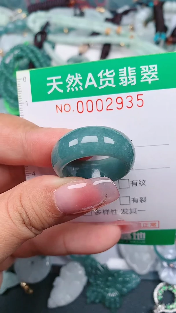 颈饰未镶嵌翡翠.0002935