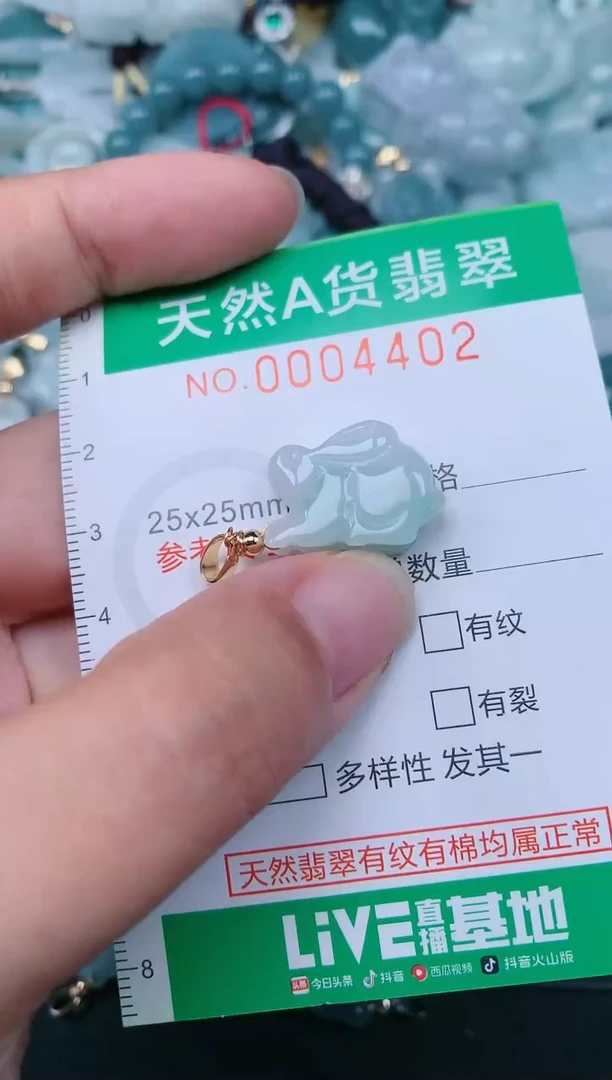 颈饰未镶嵌翡翠.0004402
