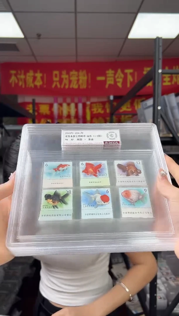 观赏水族生物邮票-金鱼（1-3组）边纸 精大盒 RCGS评级 原胶