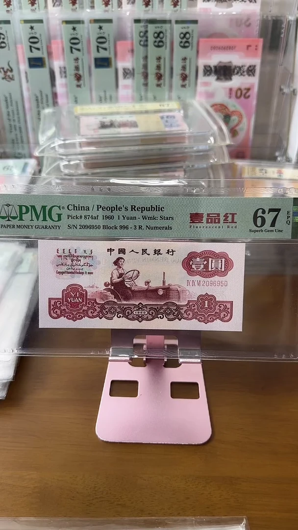 塑料2096950一品红