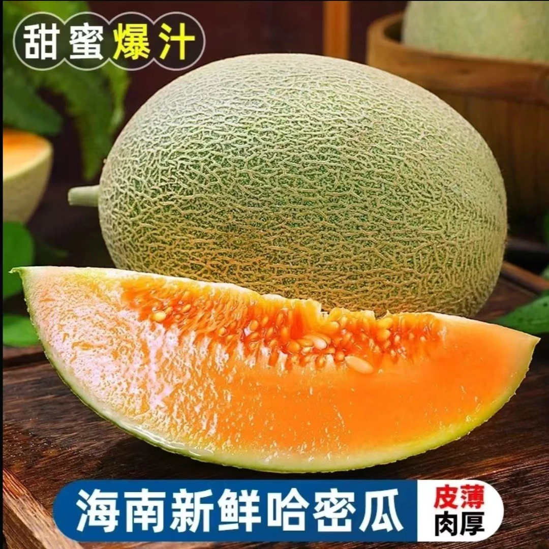 ab海南沙地哈密瓜新鲜水果现摘现发海南直发