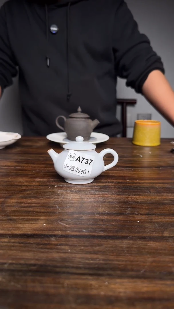 婺州龙窑烧制技艺壶（A737