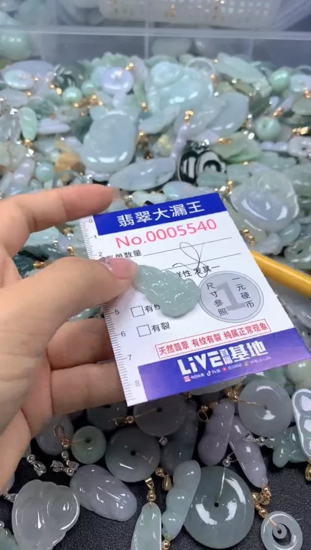颈饰未镶嵌翡翠5540