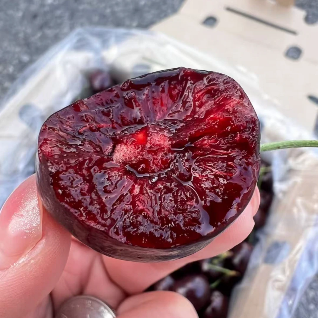 （新品上新）XL海运/桑提娜/3JD车厘子/2斤装1000g桑提娜