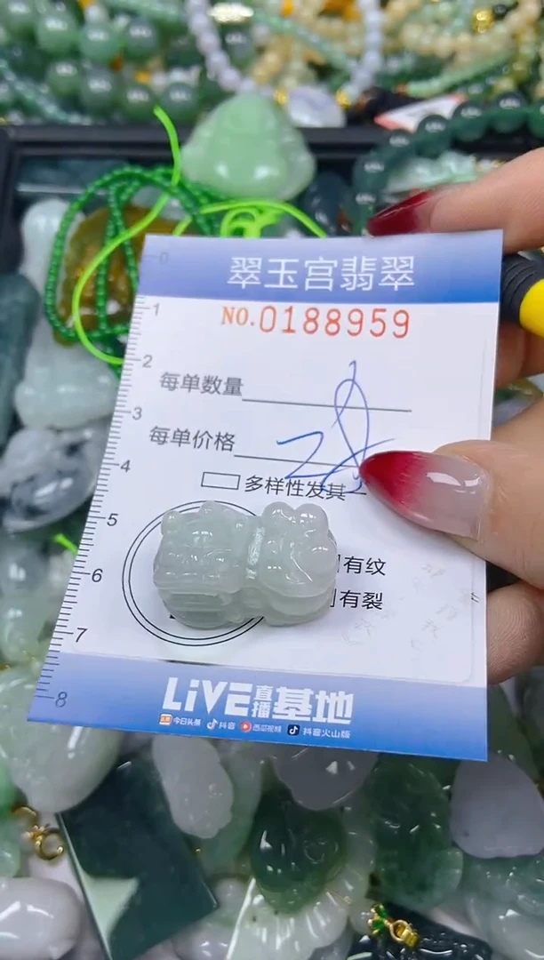翡翠未镶嵌颈饰闪购0188959