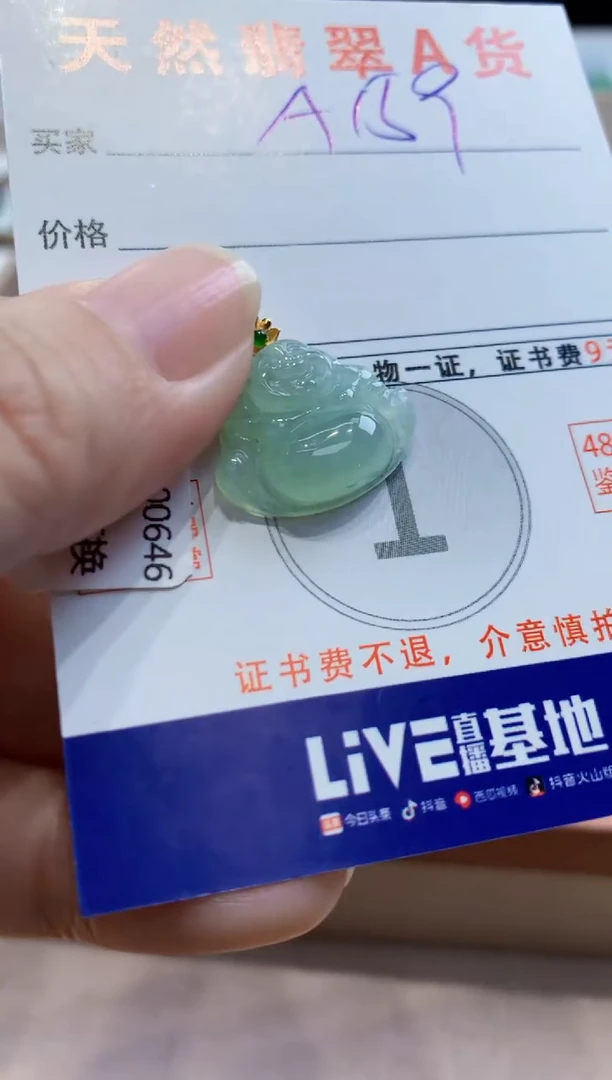 颈饰未镶嵌翡翠 天然翡翠挂件