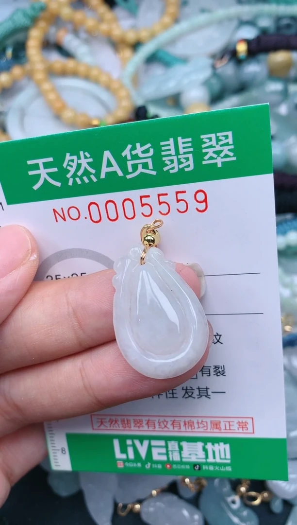 翡翠未镶嵌颈饰.0005559