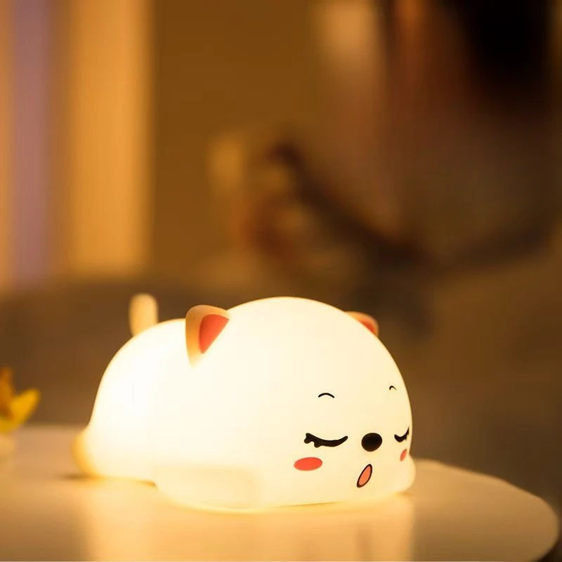 【直播】晨光拍拍灯酣睡猫 9367