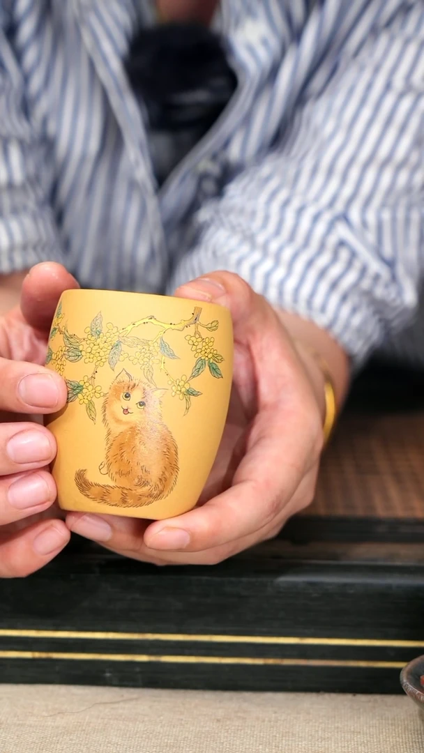 10《猫趣福旦杯》黄金段