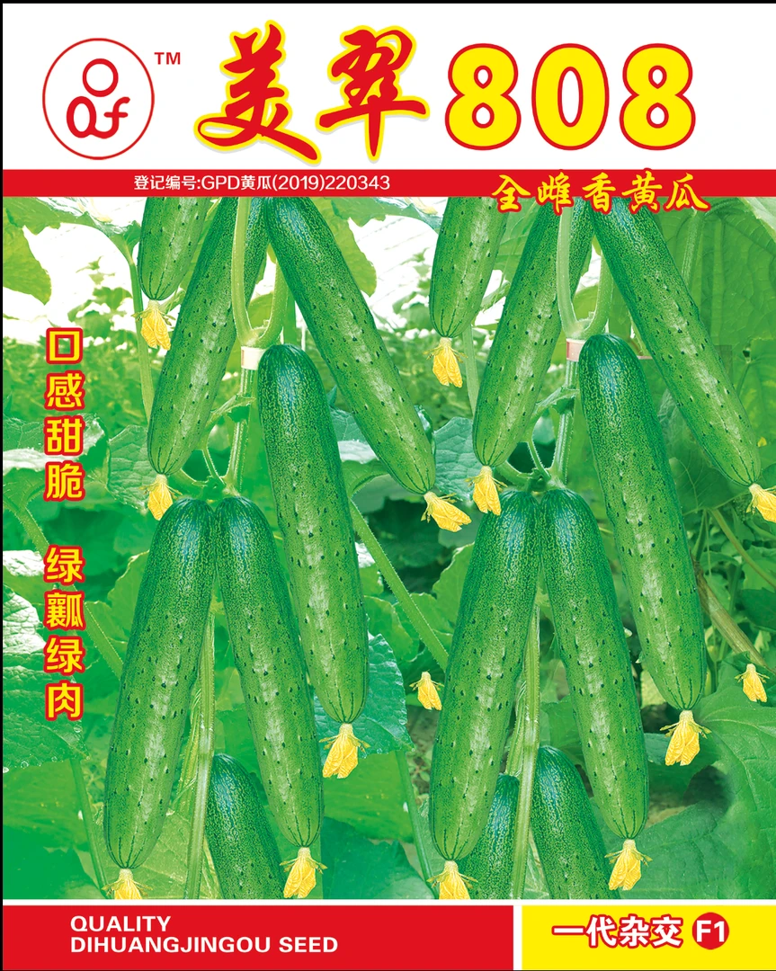 美翠808香黄瓜种子