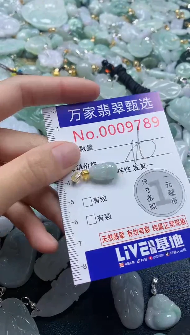 吊坠(不含链)未镶嵌翡翠9789