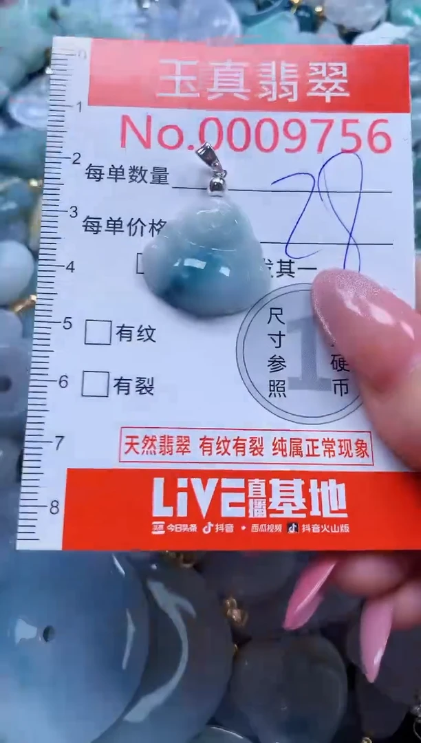 翡翠未镶嵌吊坠(不含链)9756