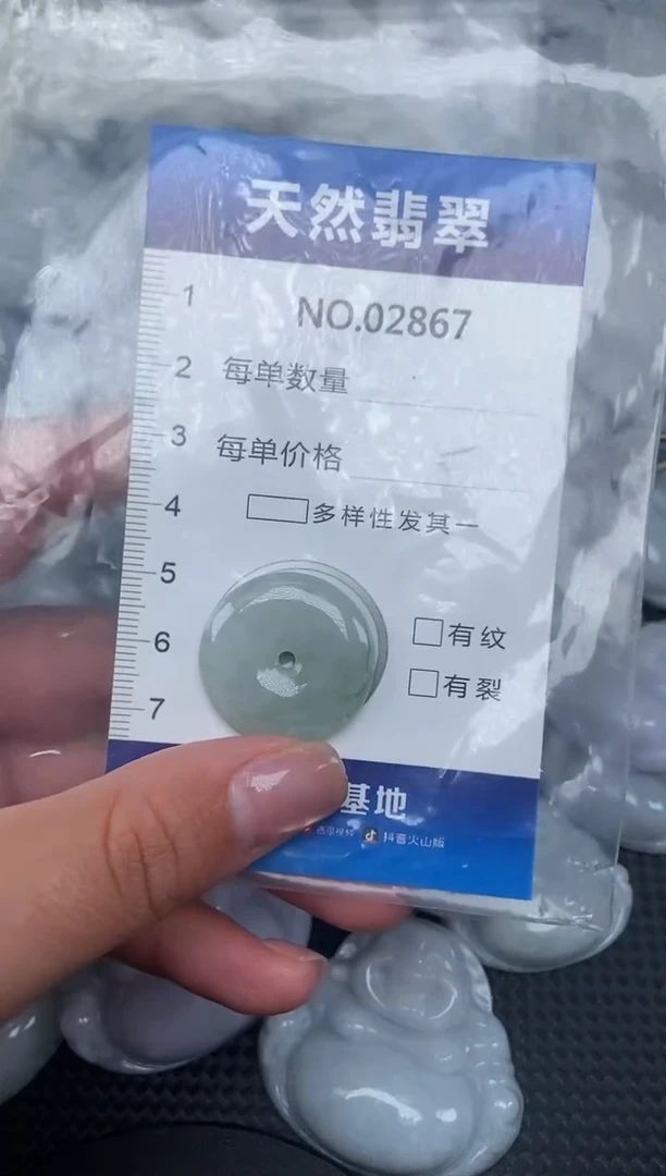 颈饰未镶嵌翡翠纯天然A货翡翠2867