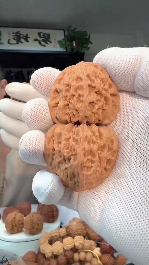 把件龙脊菩提铱*023 全品三角南疆44.5-42