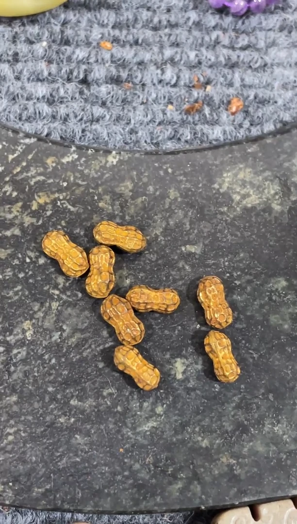 精美工艺品花生8个