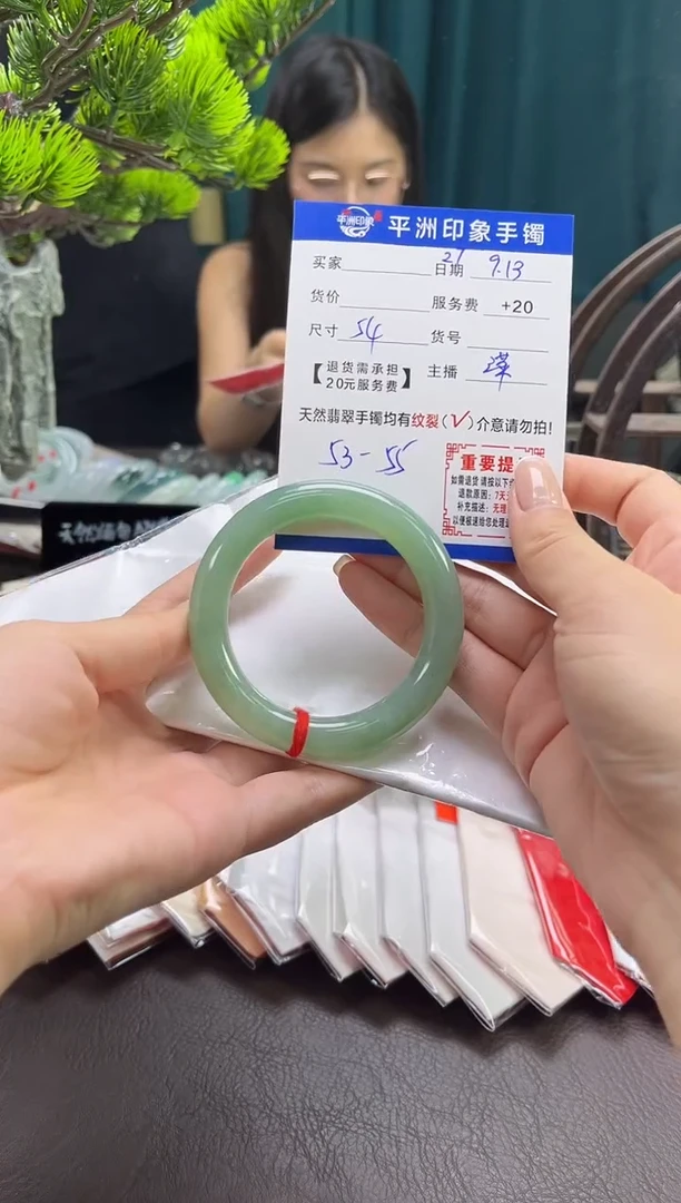 未镶嵌手镯翡翠27