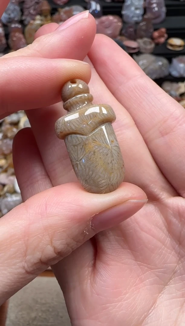 颈饰未镶嵌硅化珊瑚（珊瑚玉）193