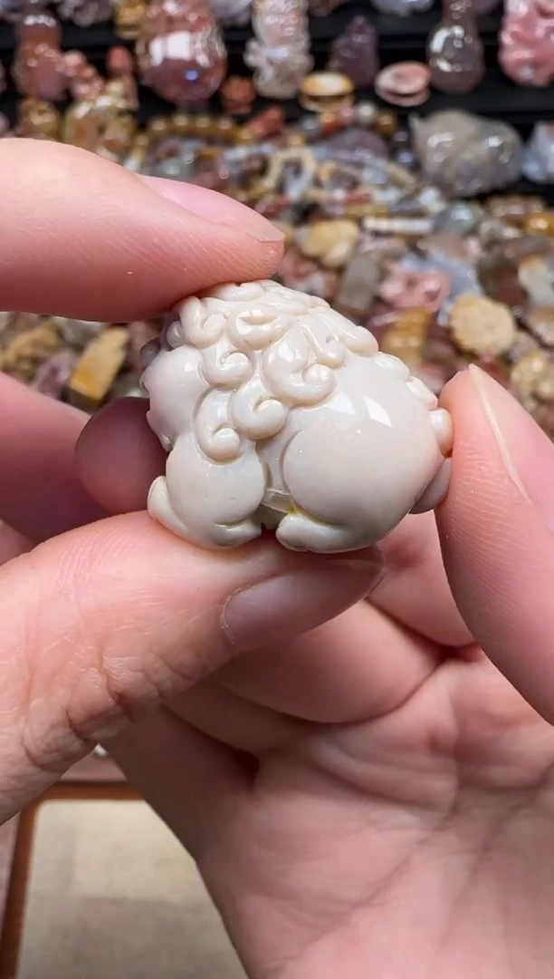 颈饰未镶嵌硅化珊瑚（珊瑚玉）089