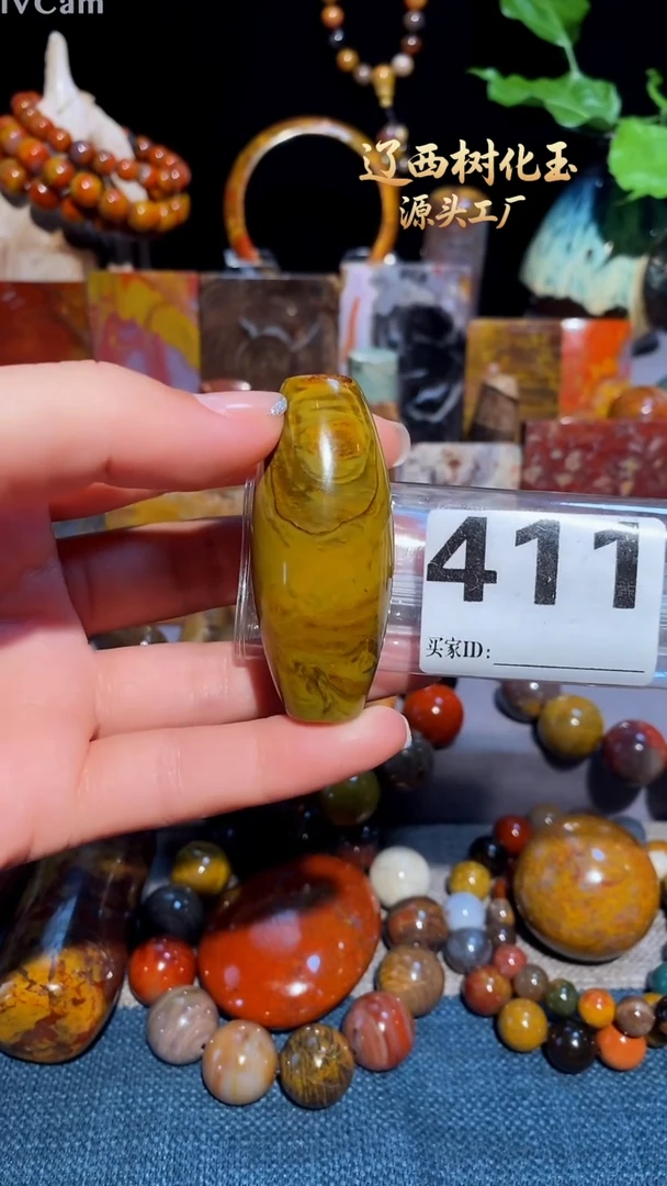 未镶嵌-硅化玉天然北票硅化玉吊坠