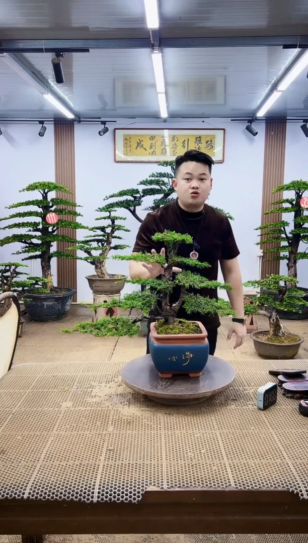 无花朵一物一拍，所见即所得