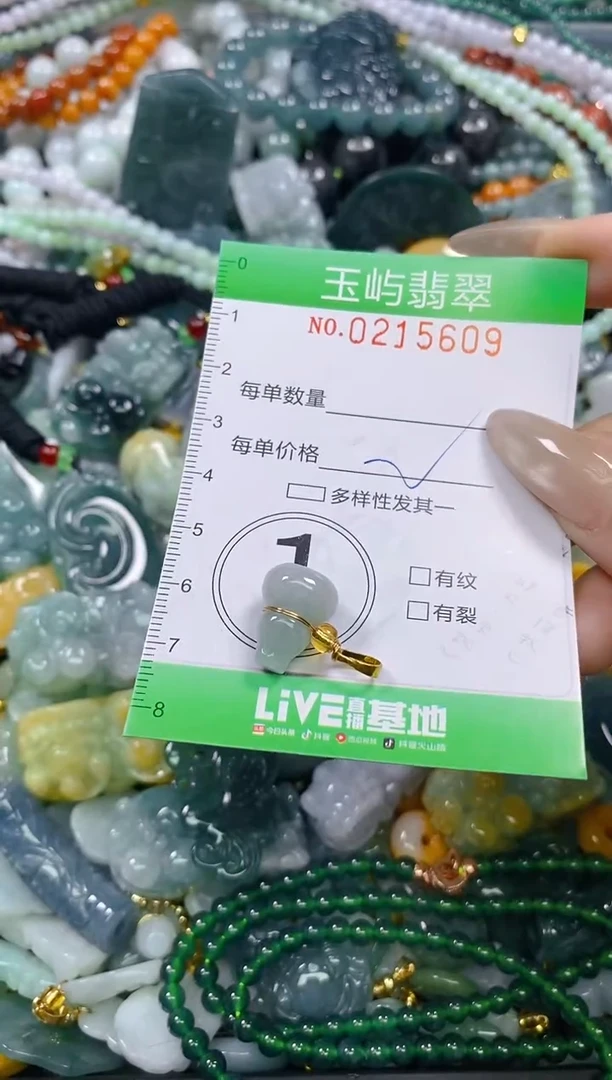 颈饰未镶嵌翡翠闪购0215609