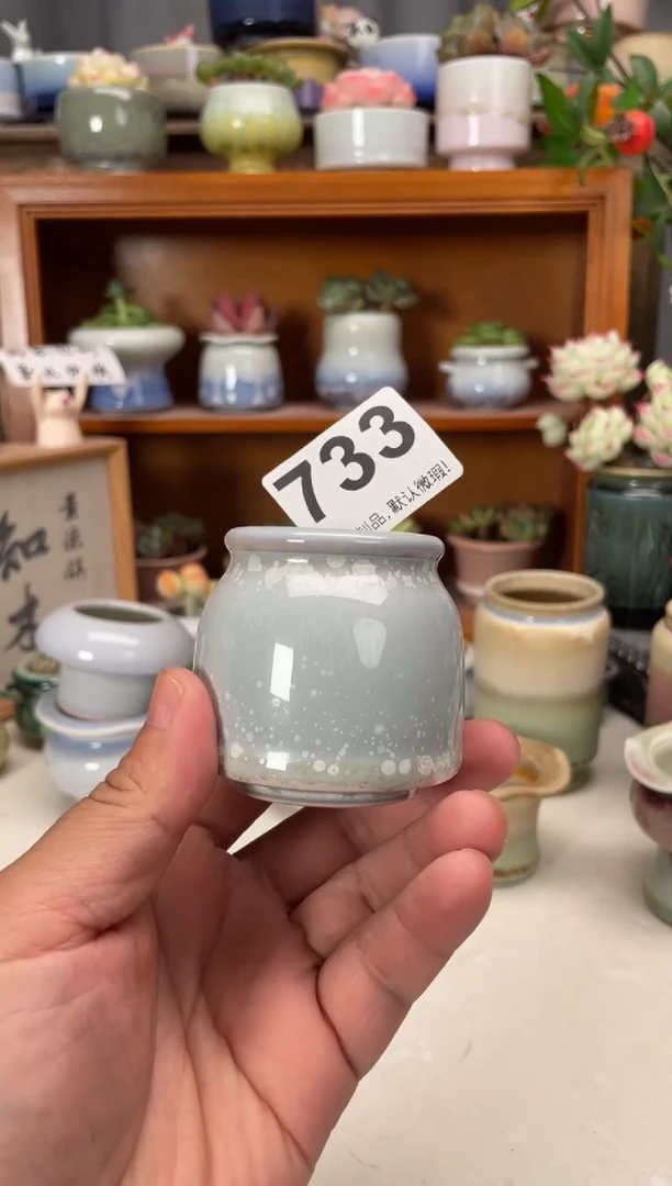 瓷片733知木花盆小芳