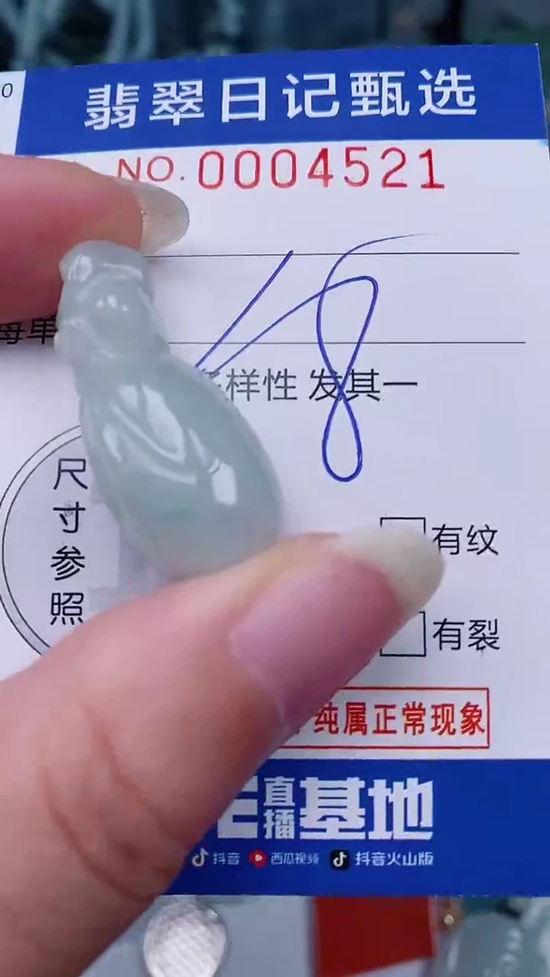 翡翠未镶嵌颈饰00004521