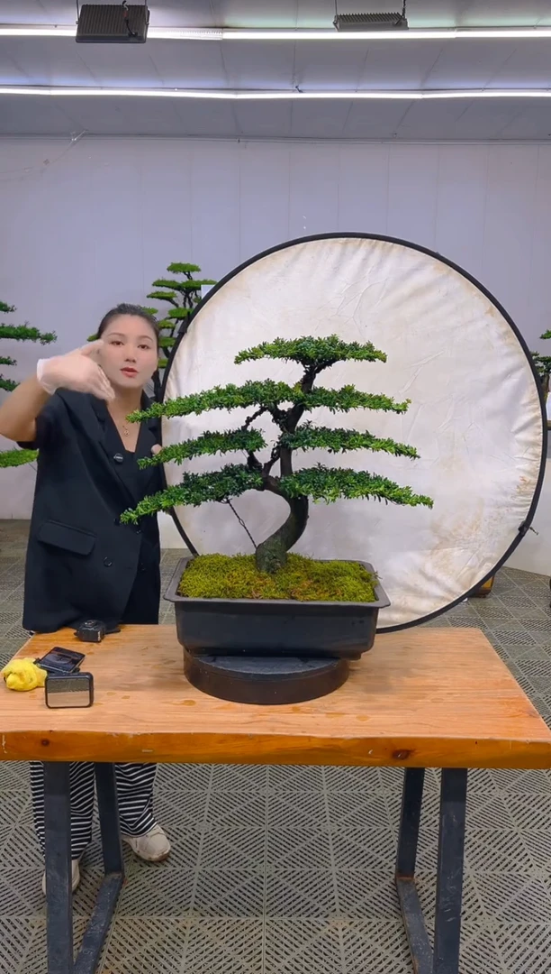 无花朵一物一拍一物一拍