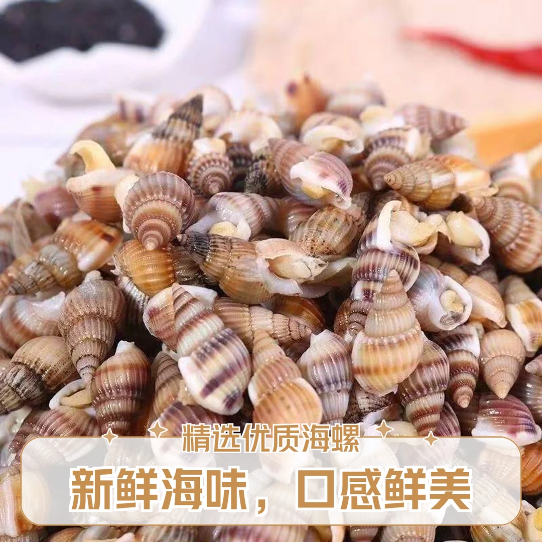 东港本地海锥海瓜子海螺丝/鲜活现发/中大号买2斤送半斤/顺丰到家
